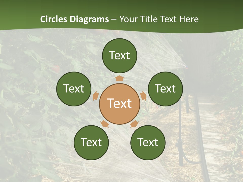 Glasshouse Scandinavian Swedish PowerPoint Template