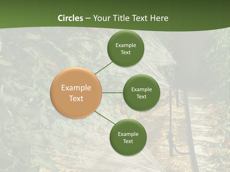 Glasshouse Scandinavian Swedish PowerPoint Template