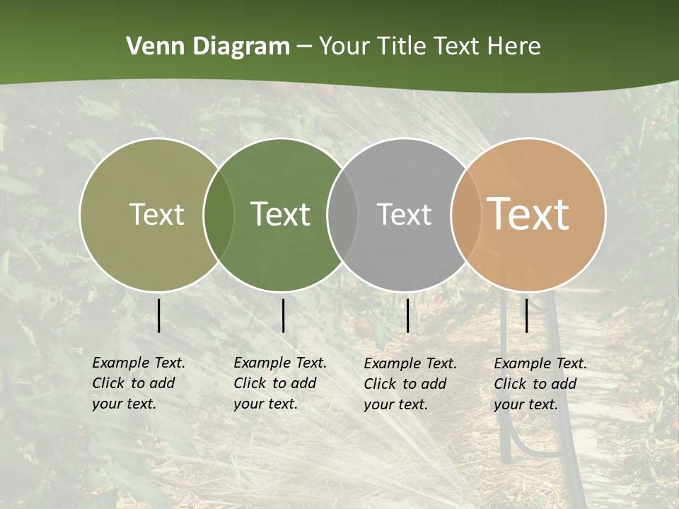 Glasshouse Scandinavian Swedish PowerPoint Template