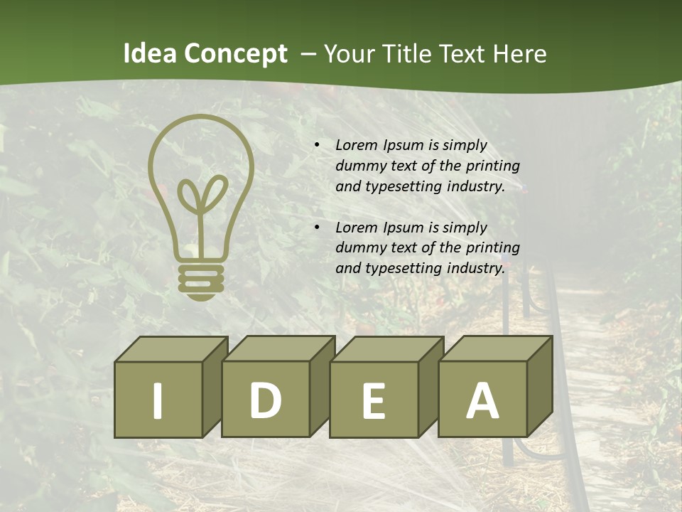 Glasshouse Scandinavian Swedish PowerPoint Template