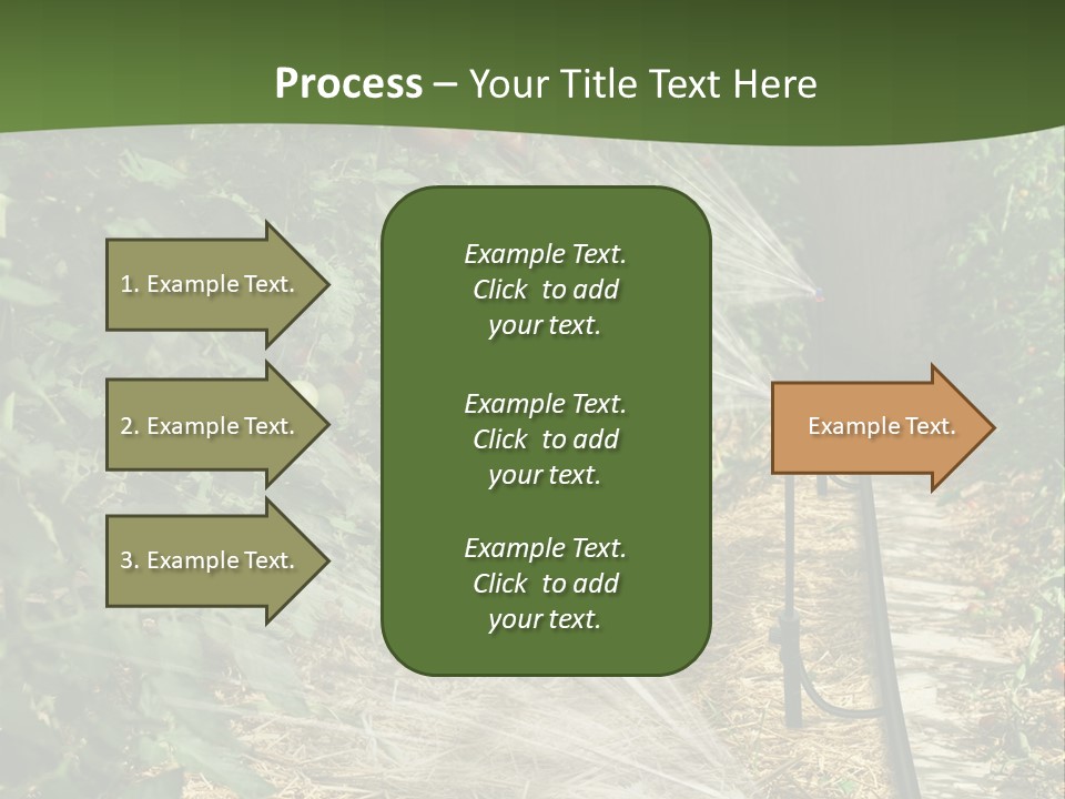 Glasshouse Scandinavian Swedish PowerPoint Template