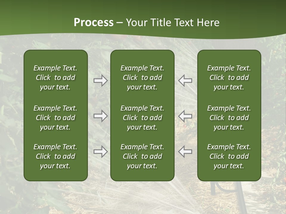 Glasshouse Scandinavian Swedish PowerPoint Template