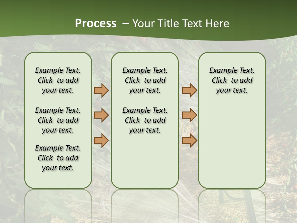 Glasshouse Scandinavian Swedish PowerPoint Template