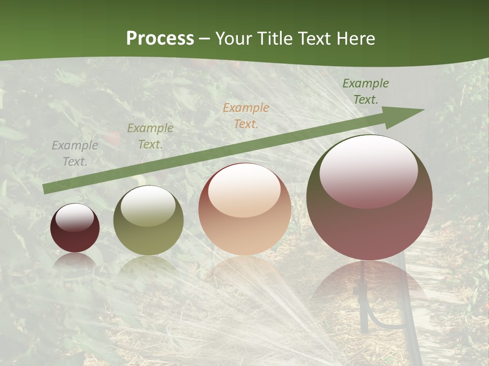 Glasshouse Scandinavian Swedish PowerPoint Template