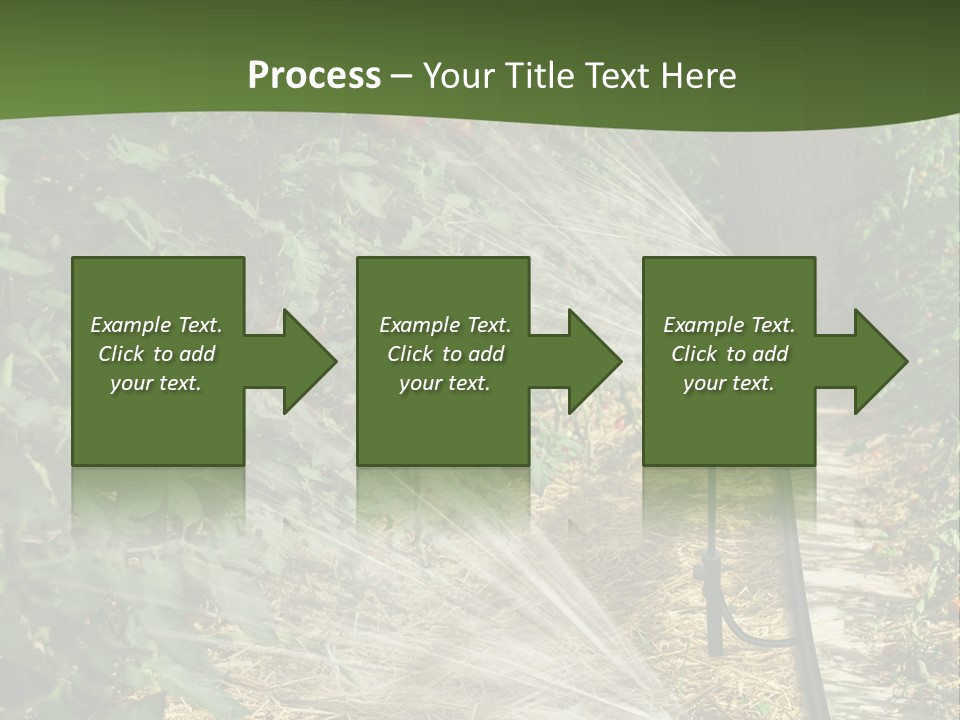 Glasshouse Scandinavian Swedish PowerPoint Template