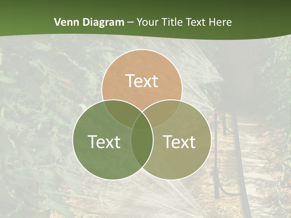 Glasshouse Scandinavian Swedish PowerPoint Template