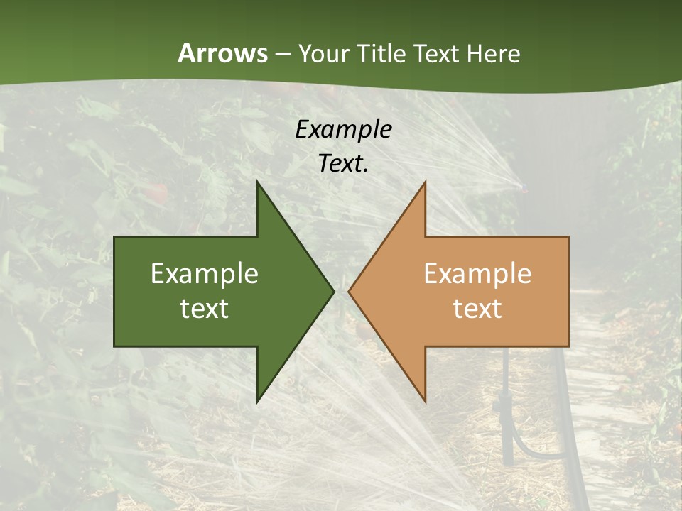 Glasshouse Scandinavian Swedish PowerPoint Template