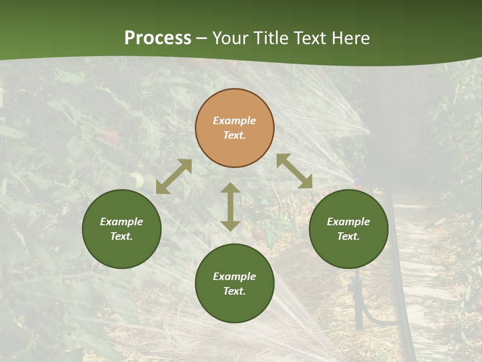 Glasshouse Scandinavian Swedish PowerPoint Template