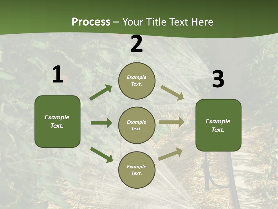Glasshouse Scandinavian Swedish PowerPoint Template