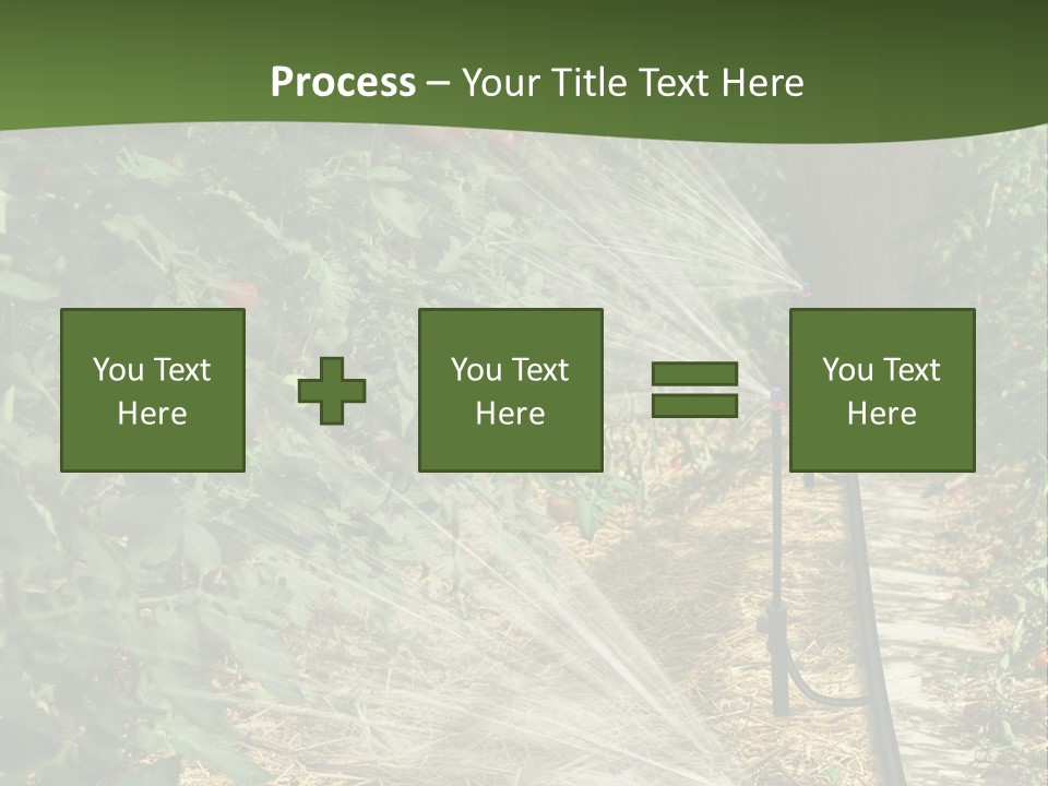 Glasshouse Scandinavian Swedish PowerPoint Template