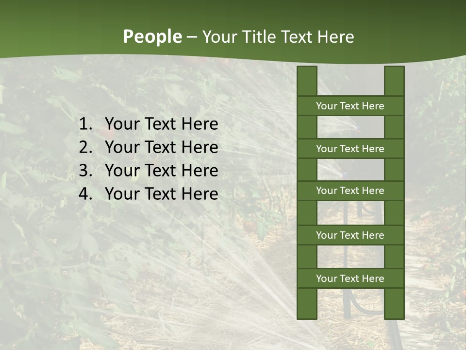 Glasshouse Scandinavian Swedish PowerPoint Template