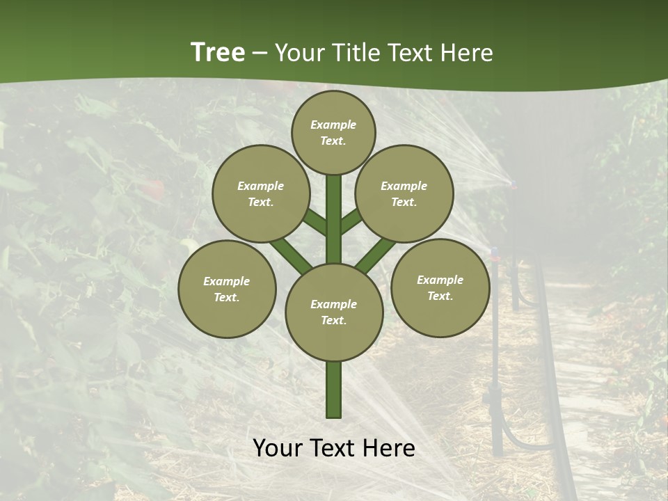Glasshouse Scandinavian Swedish PowerPoint Template