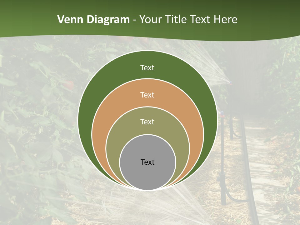 Glasshouse Scandinavian Swedish PowerPoint Template