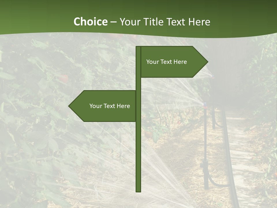 Glasshouse Scandinavian Swedish PowerPoint Template