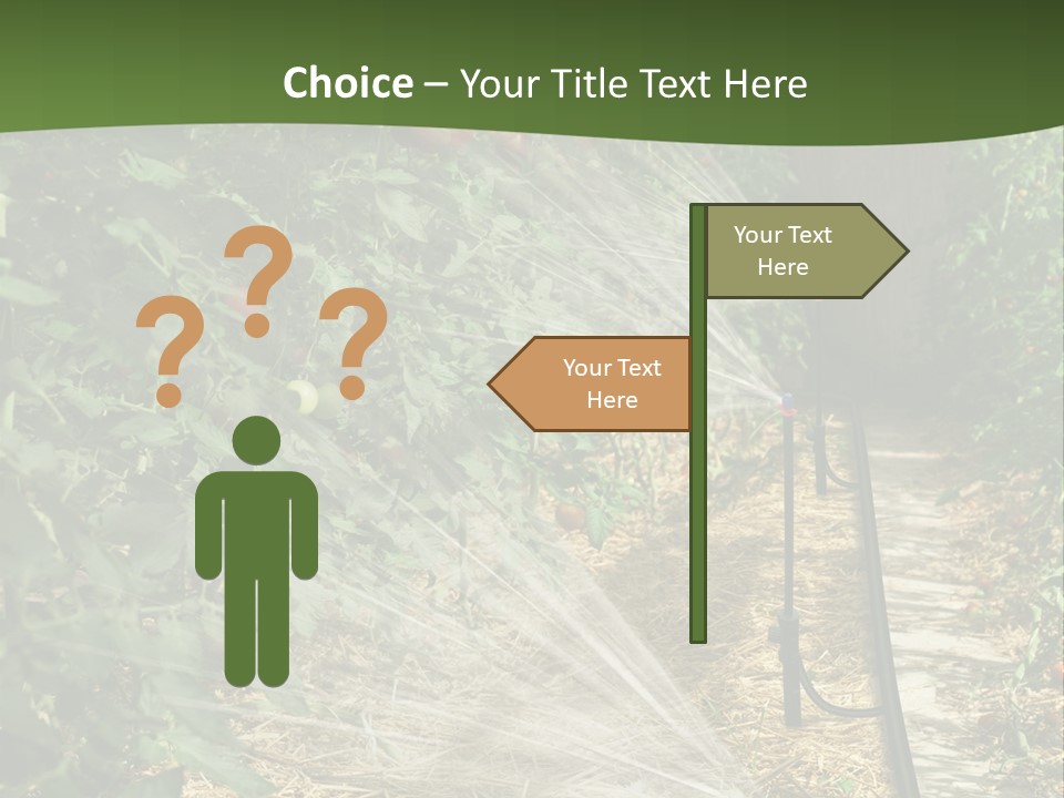 Glasshouse Scandinavian Swedish PowerPoint Template