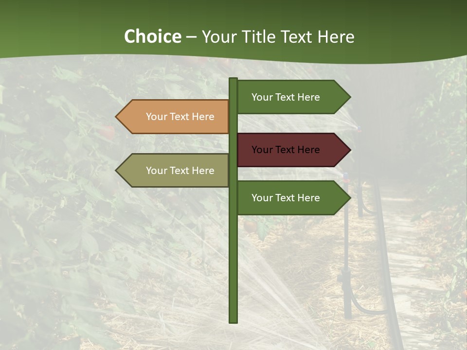 Glasshouse Scandinavian Swedish PowerPoint Template