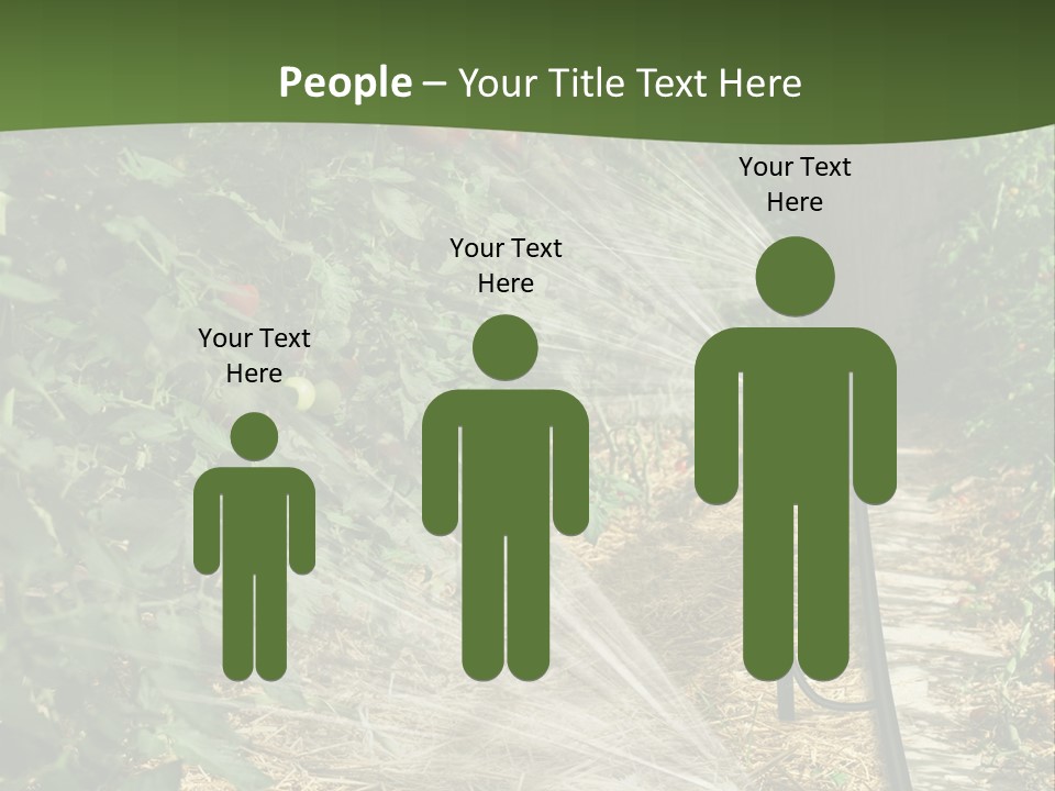 Glasshouse Scandinavian Swedish PowerPoint Template