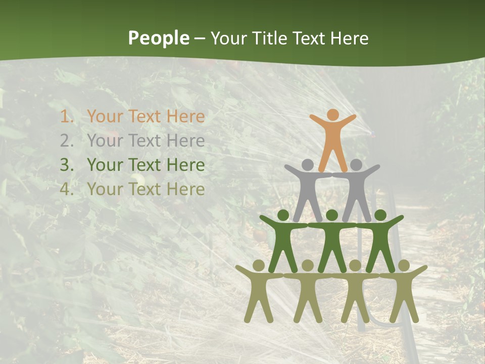 Glasshouse Scandinavian Swedish PowerPoint Template