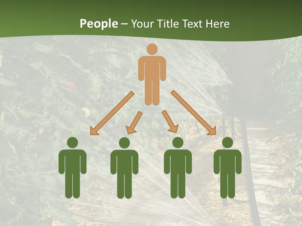 Glasshouse Scandinavian Swedish PowerPoint Template