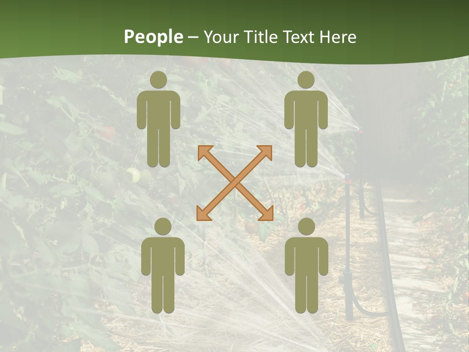 Glasshouse Scandinavian Swedish PowerPoint Template