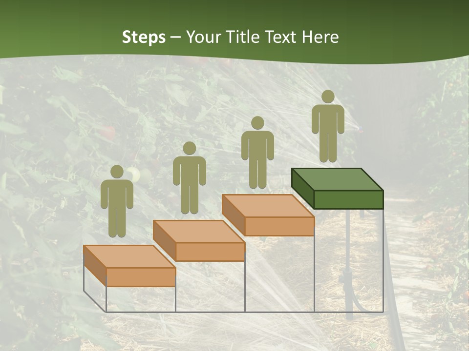 Glasshouse Scandinavian Swedish PowerPoint Template