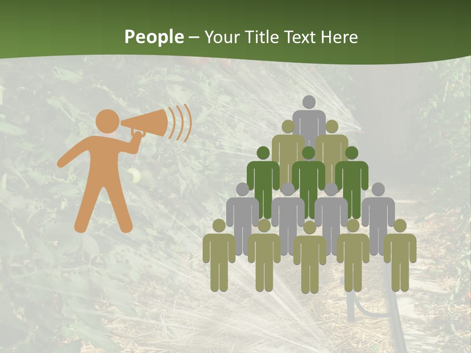 Glasshouse Scandinavian Swedish PowerPoint Template