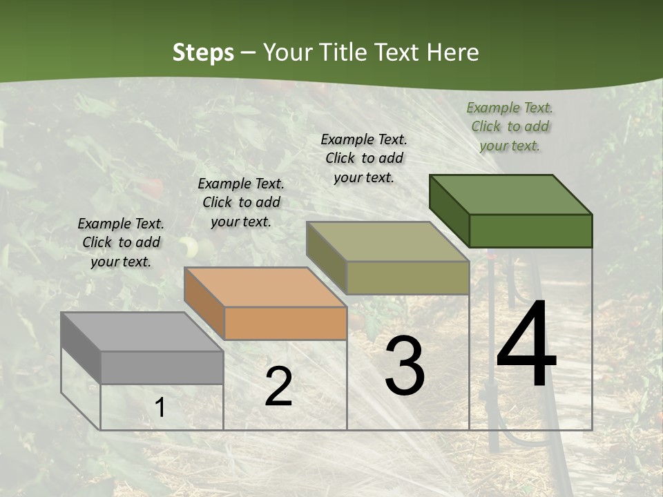 Glasshouse Scandinavian Swedish PowerPoint Template