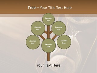 Closeup Clock Timer PowerPoint Template