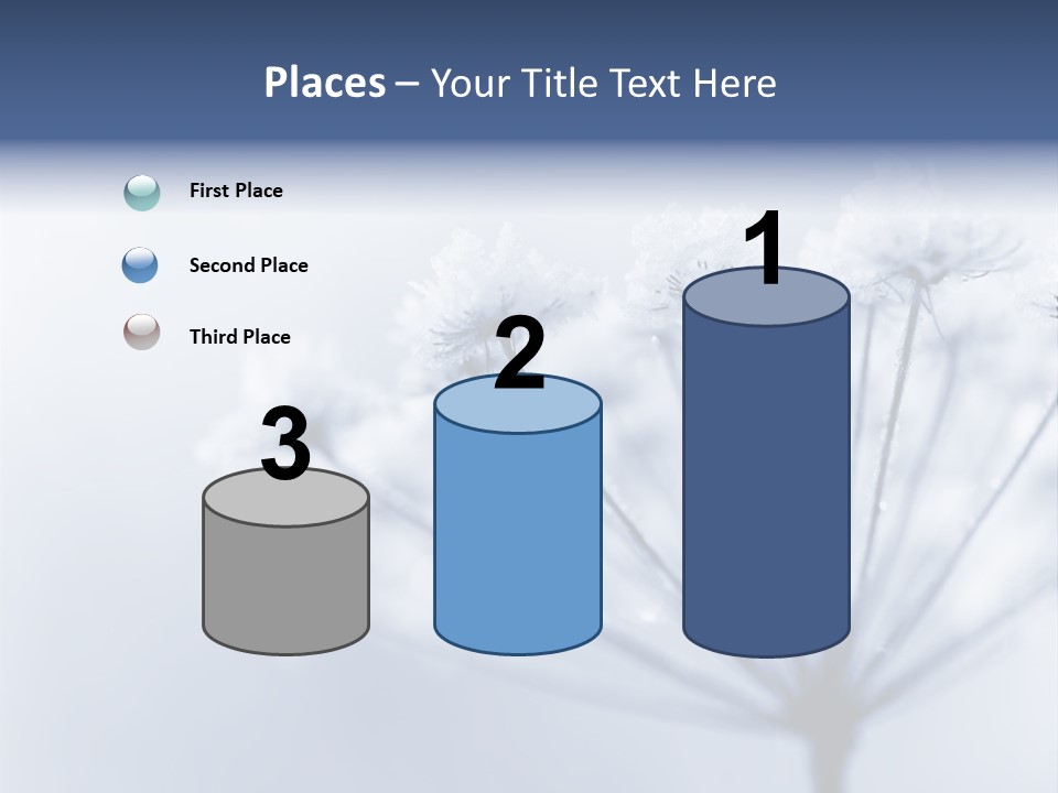 Outdoor Anthriscus Macro PowerPoint Template