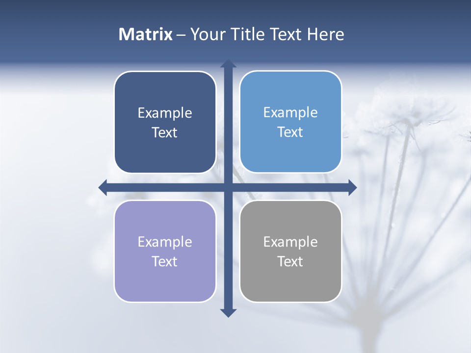 Outdoor Anthriscus Macro PowerPoint Template