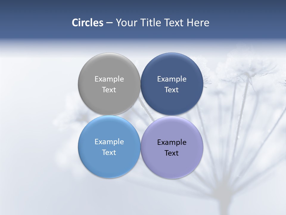 Outdoor Anthriscus Macro PowerPoint Template