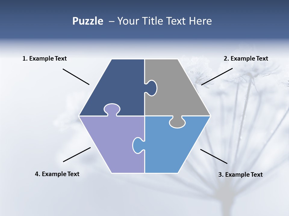 Outdoor Anthriscus Macro PowerPoint Template