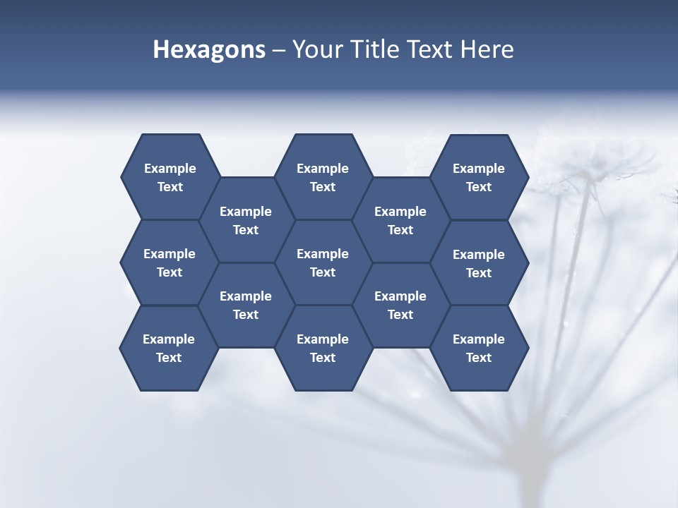 Outdoor Anthriscus Macro PowerPoint Template