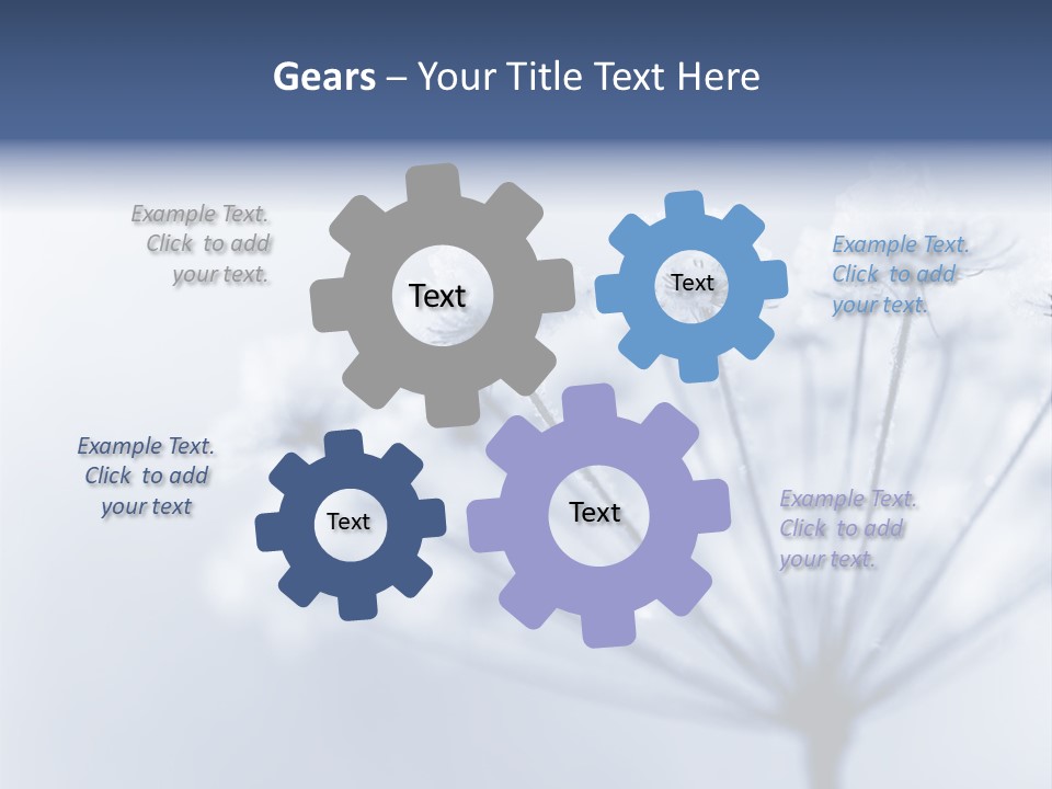 Outdoor Anthriscus Macro PowerPoint Template