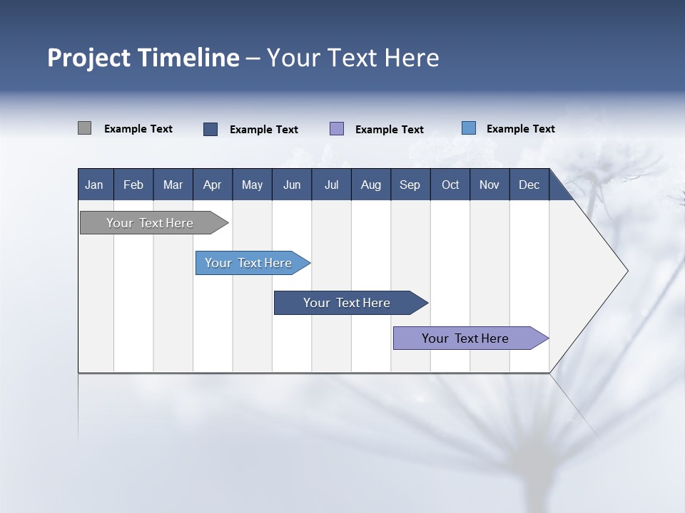 Outdoor Anthriscus Macro PowerPoint Template