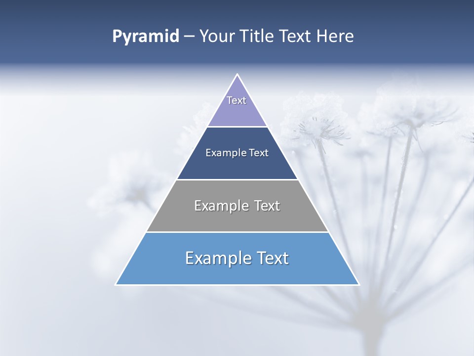Outdoor Anthriscus Macro PowerPoint Template