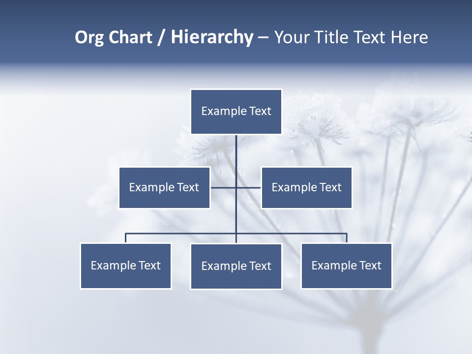 Outdoor Anthriscus Macro PowerPoint Template
