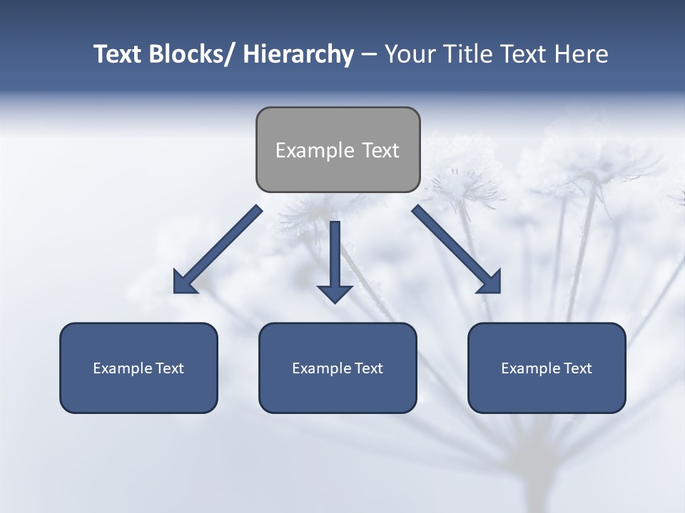 Outdoor Anthriscus Macro PowerPoint Template