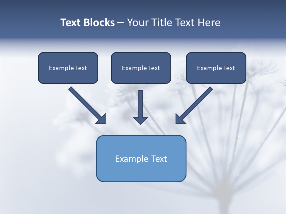 Outdoor Anthriscus Macro PowerPoint Template