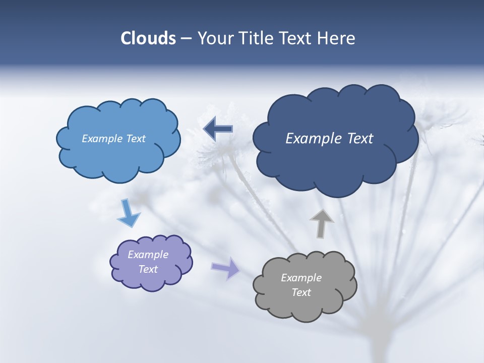 Outdoor Anthriscus Macro PowerPoint Template