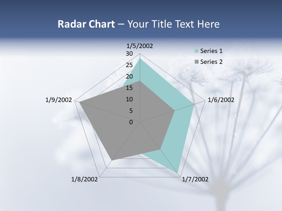 Outdoor Anthriscus Macro PowerPoint Template