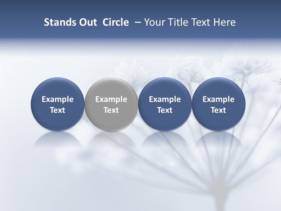 Outdoor Anthriscus Macro PowerPoint Template