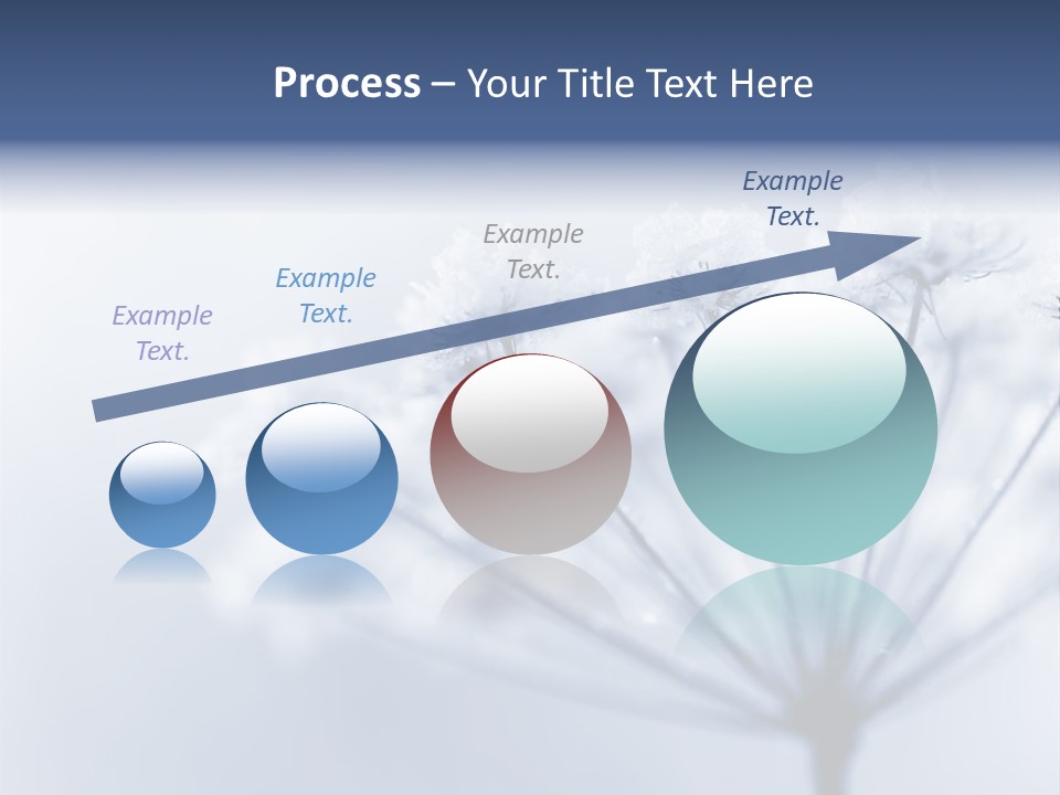Outdoor Anthriscus Macro PowerPoint Template