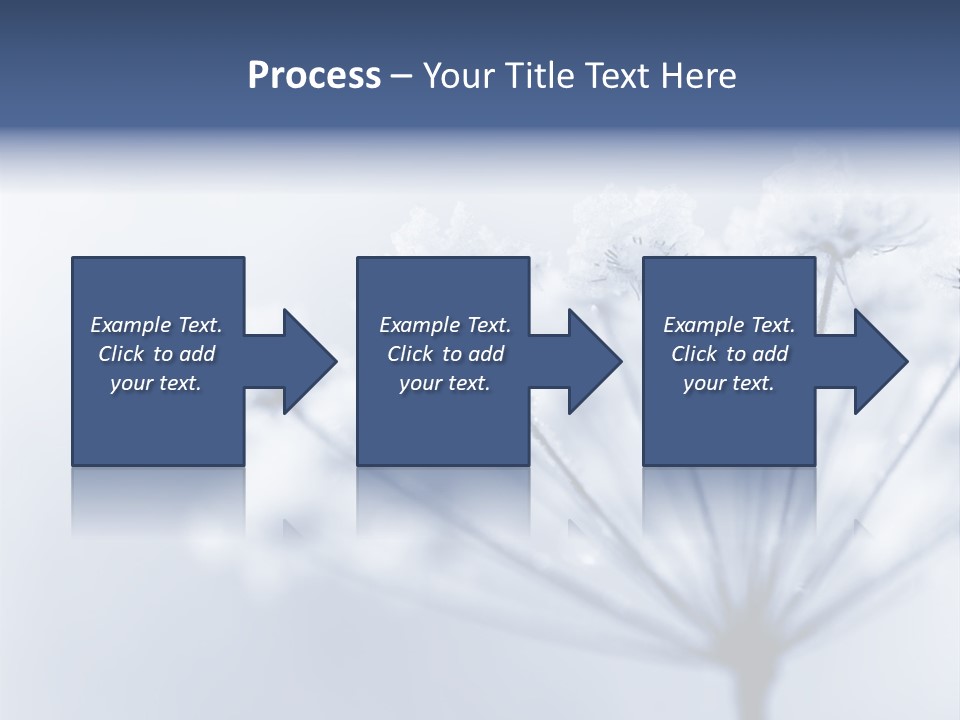 Outdoor Anthriscus Macro PowerPoint Template