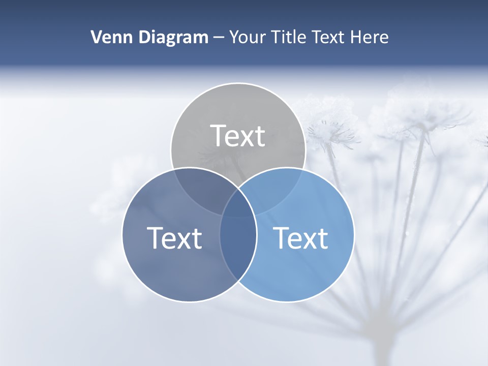 Outdoor Anthriscus Macro PowerPoint Template