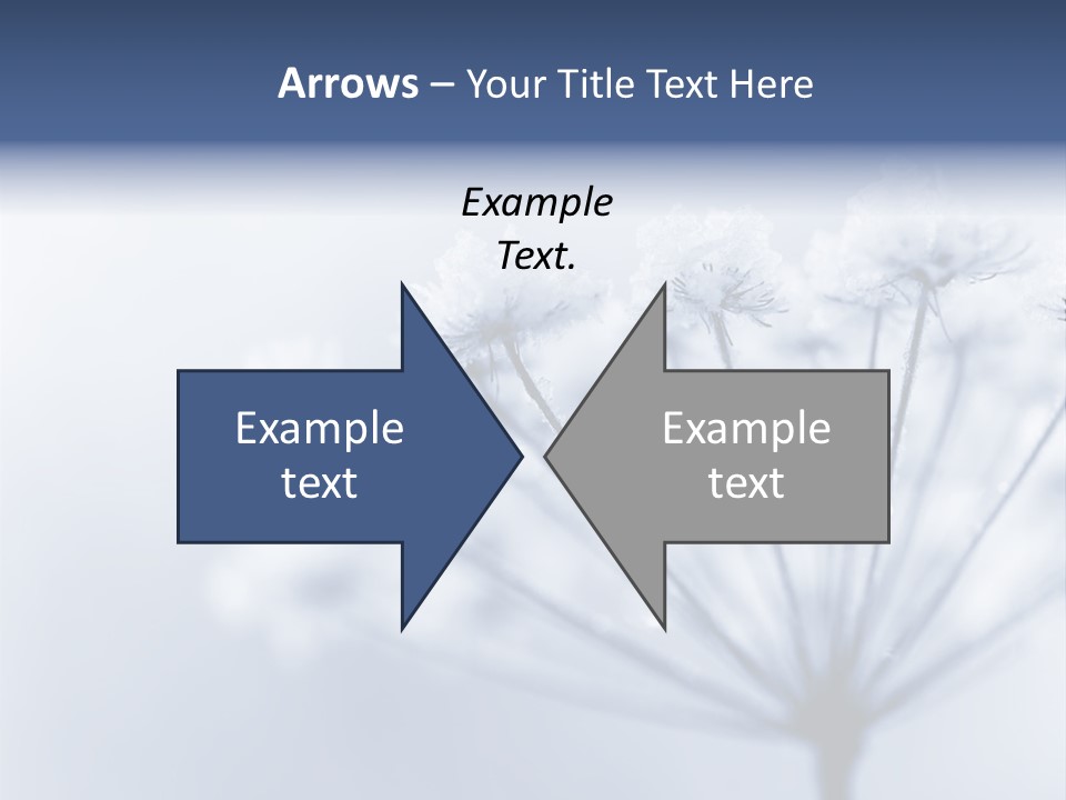 Outdoor Anthriscus Macro PowerPoint Template