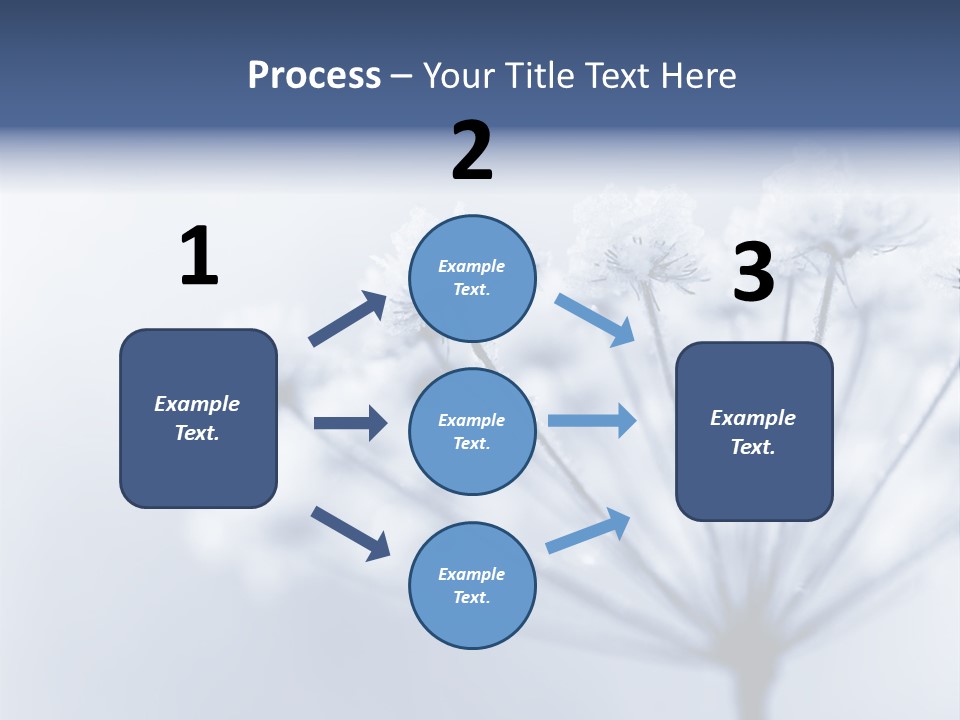 Outdoor Anthriscus Macro PowerPoint Template
