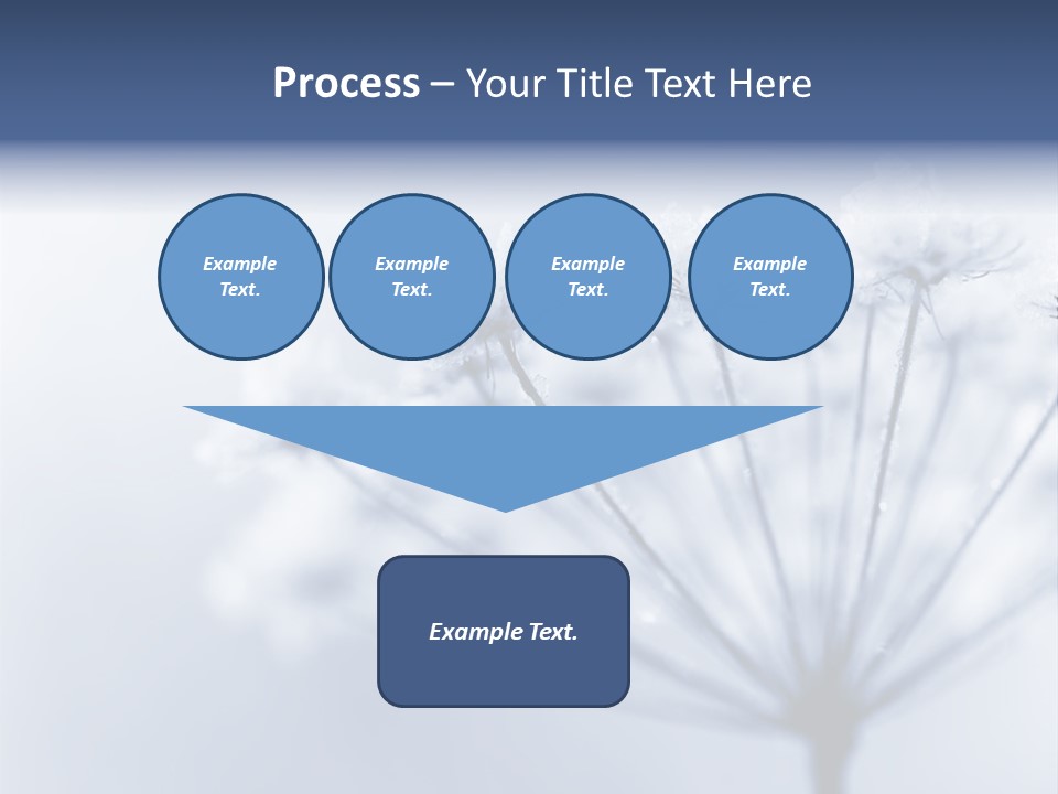 Outdoor Anthriscus Macro PowerPoint Template