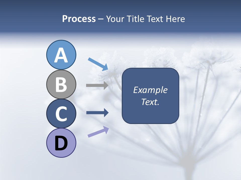 Outdoor Anthriscus Macro PowerPoint Template