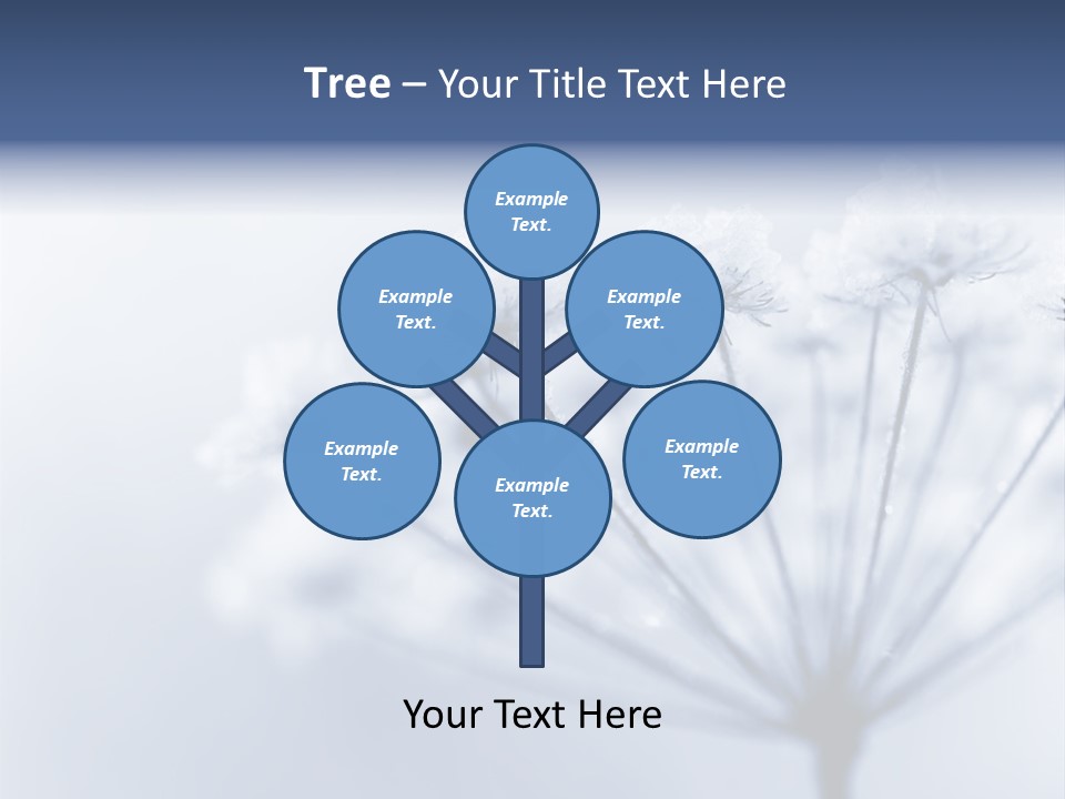 Outdoor Anthriscus Macro PowerPoint Template